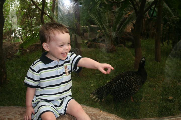 Grant's 2 year birthday015.JPG